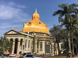 Cathedral of São Carlos