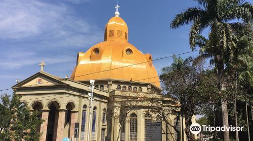 Cathedral of São Carlos