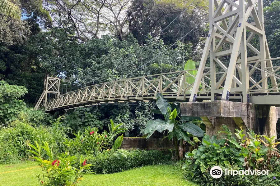 Kapaia Swinging Bridge