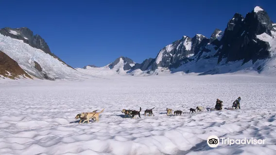 Temsco Helicopters, Inc