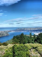 Signal Hill Lookout