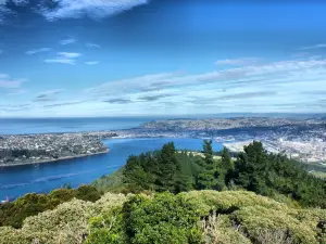 Signal Hill Lookout