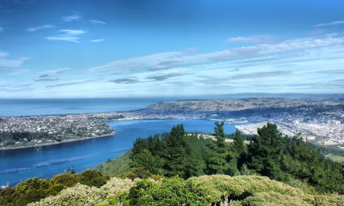 Signal Hill Lookout