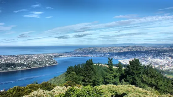 Signal Hill Lookout