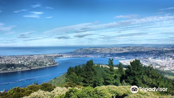 Сигнал Хилл