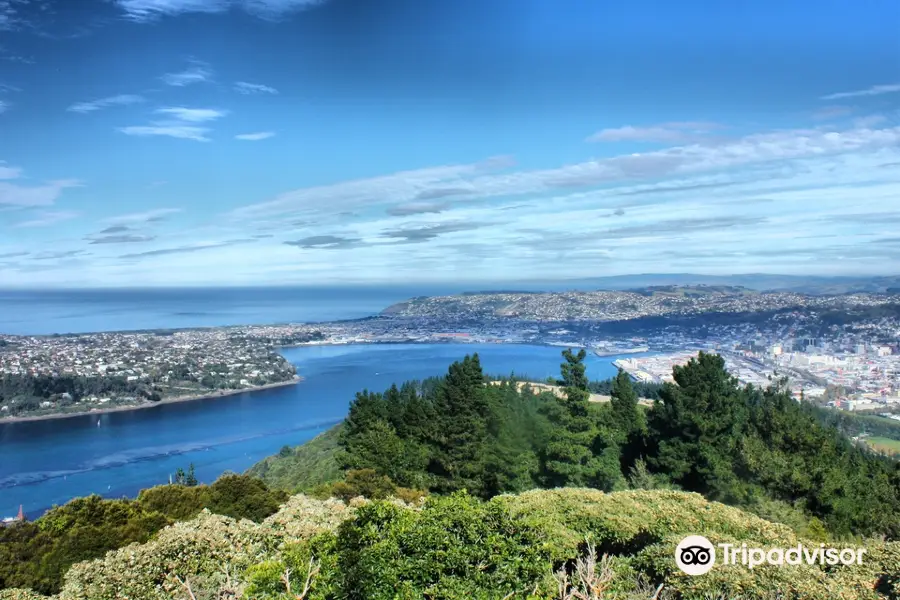 Signal Hill Lookout