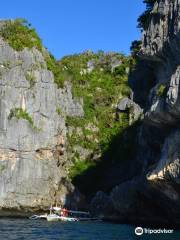 Tangke Saltwater Lagoon