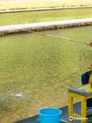 Taisetsu Fishing Pond