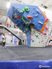 Central Rock Gym