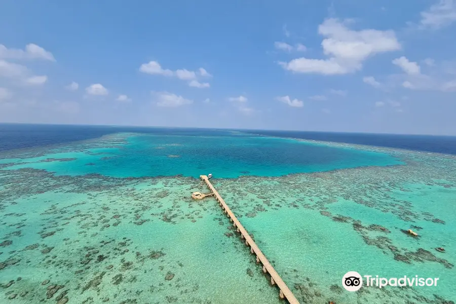 Red Sea Secrets Diving center