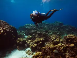 ANDA DI WATA dive school