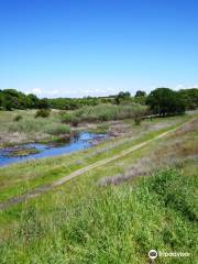 Miner's Ravine Trail