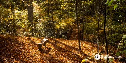 Highlands Aerial Park