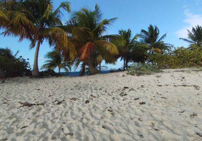 Carriacou