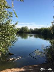 Riparian Preserve at Water Ranch