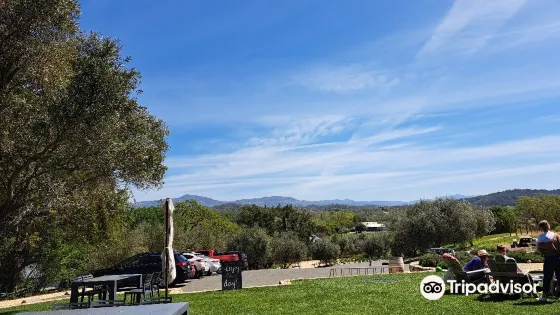 Bella Vineyards and Wine Caves