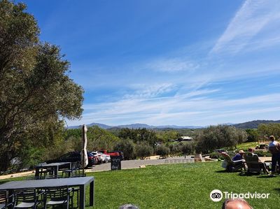Bella Vineyards & Wine Caves