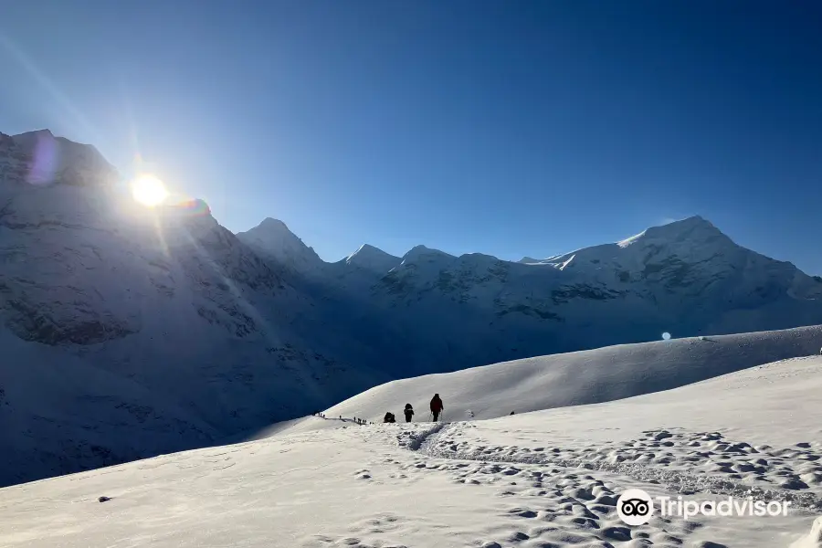 Alpine Ramble Treks