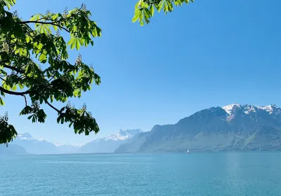 Bezirk Riviera-Pays-d'Enhaut