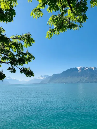 Riviera-Pays-d'Enhaut District