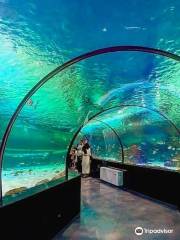 イスファハーン水族館