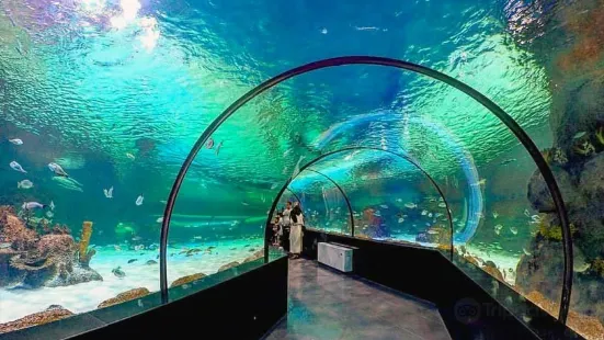 Isfahan Aquarium