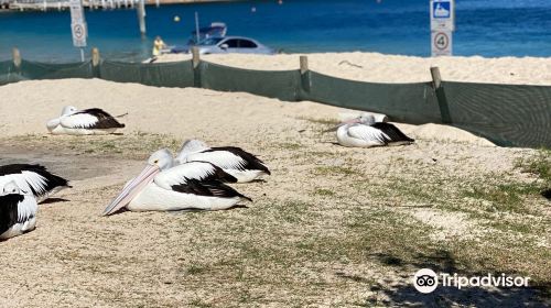 Little Beach Reserve