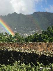 Manoa Heritage Center