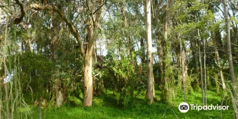 Reserva Natural de carilo