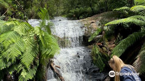 Cora Lynn Cascades Walk