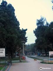 Büyükpark