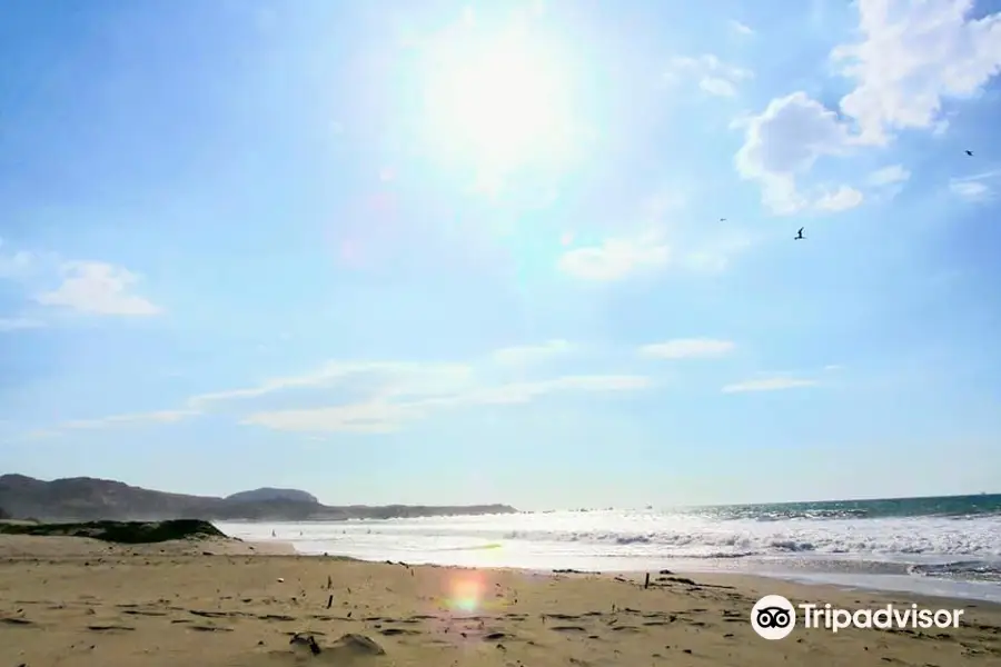 Playa Los Organos