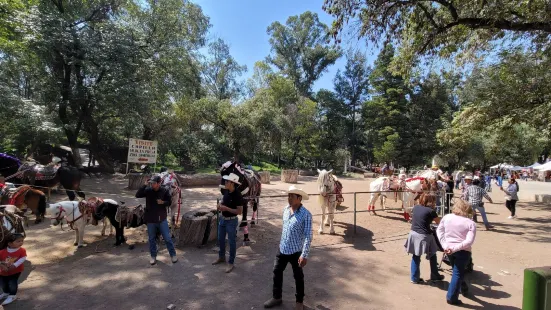 Parque Nacional Molino de Flores