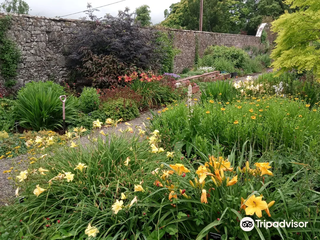 5_Elizabeth MacGregor Nursery