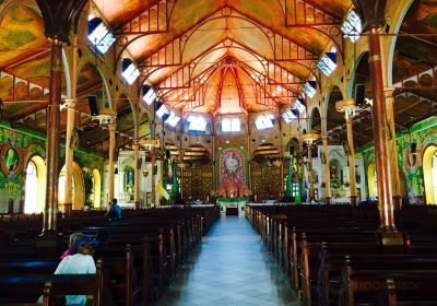 The Minor Basilica of the Immaculate Conception (Cathedral)