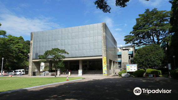 Miyazaki Prefectural Museum of Nature and History