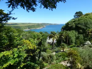 National Trust - Overbeck's Garden