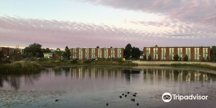 Memorial University