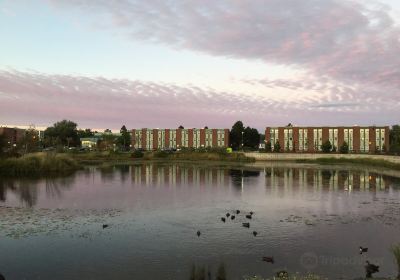 Université Memorial de Terre-Neuve