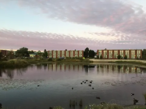 紐芬蘭紀念大學