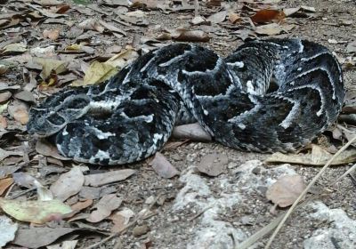 East African Reptile Park