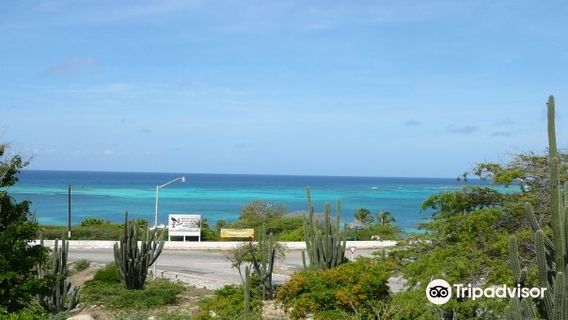 Rodger's Beach