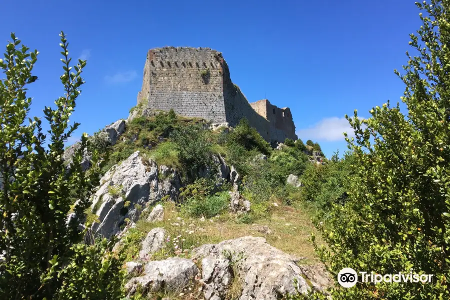 Chateau de Montsegur