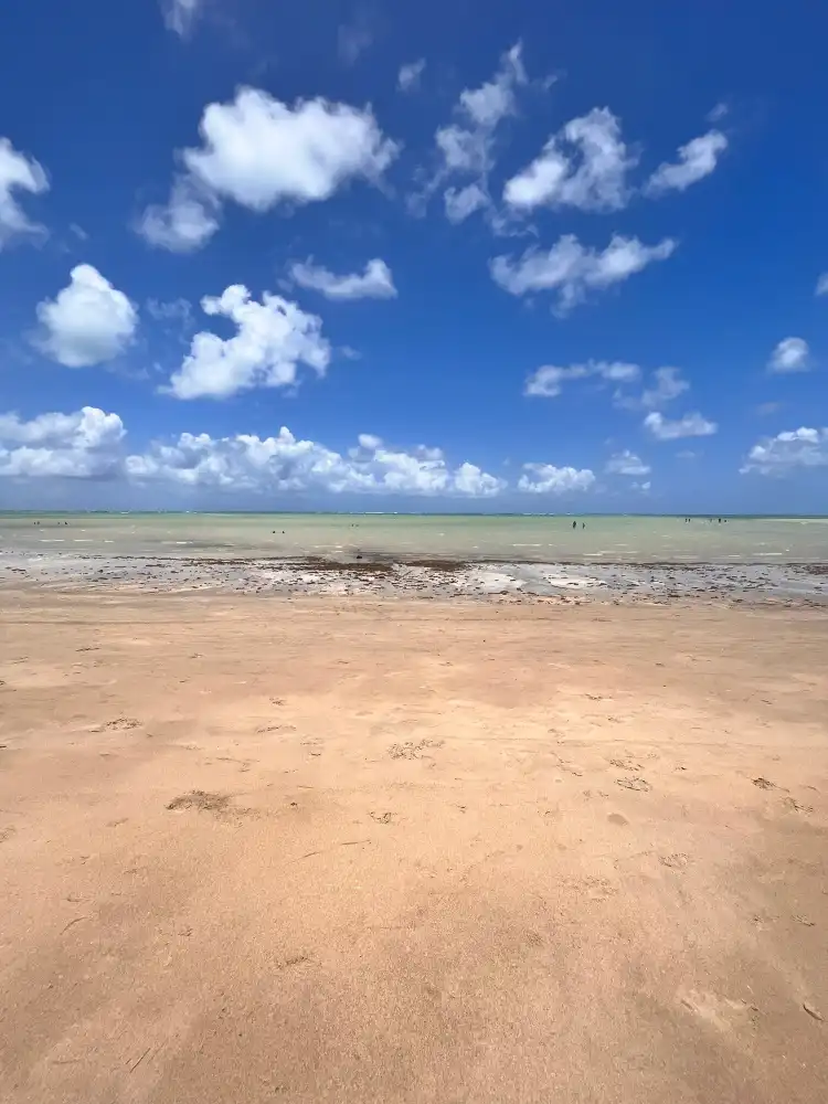 Hotels in Ponta do Mangue