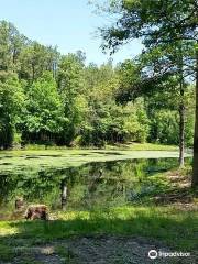 Cold Harbor Battlefield Park