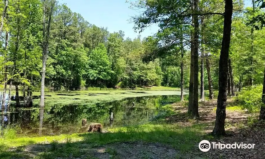 Cold Harbor Battlefield Park