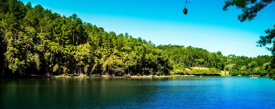 Jaragua do Sul
