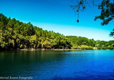 Jaragua do Sul