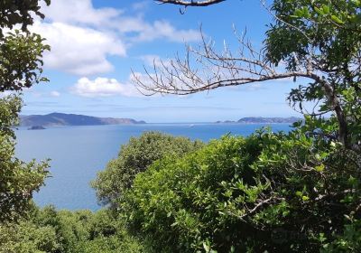 Matiu / Somes Island