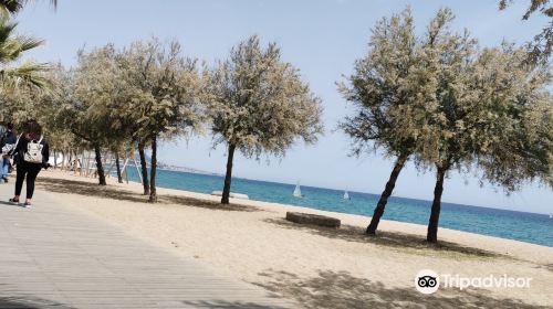 Playa de la Estacion